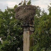 IMG-5535