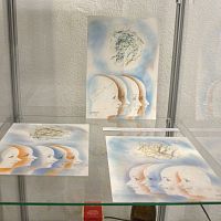 IMG-6997