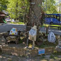 IMG-5047