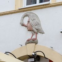 IMG-4770