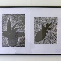 IMG-9345