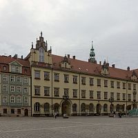 IMG-2442