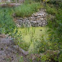 IMG-5432