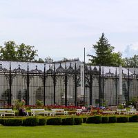 IMG-5424
