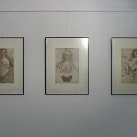 IMG-7088