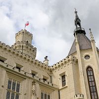 IMG-5499