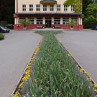 IMG-5216