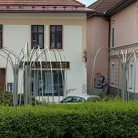 IMG-4913