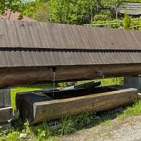 IMG-5071