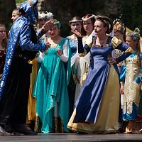 IMG-6517