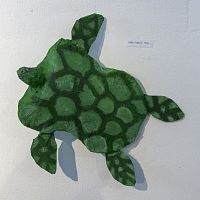 IMG-9319