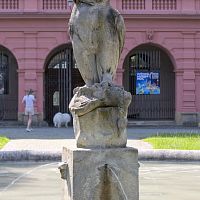IMG-1297
