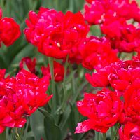 IMG-4913