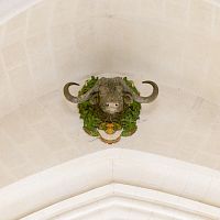 IMG-5437