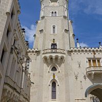 IMG-5449
