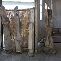 IMG-5029