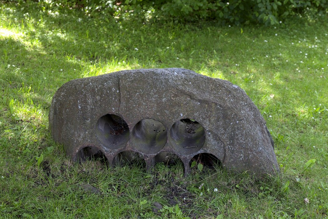 IMG-1220