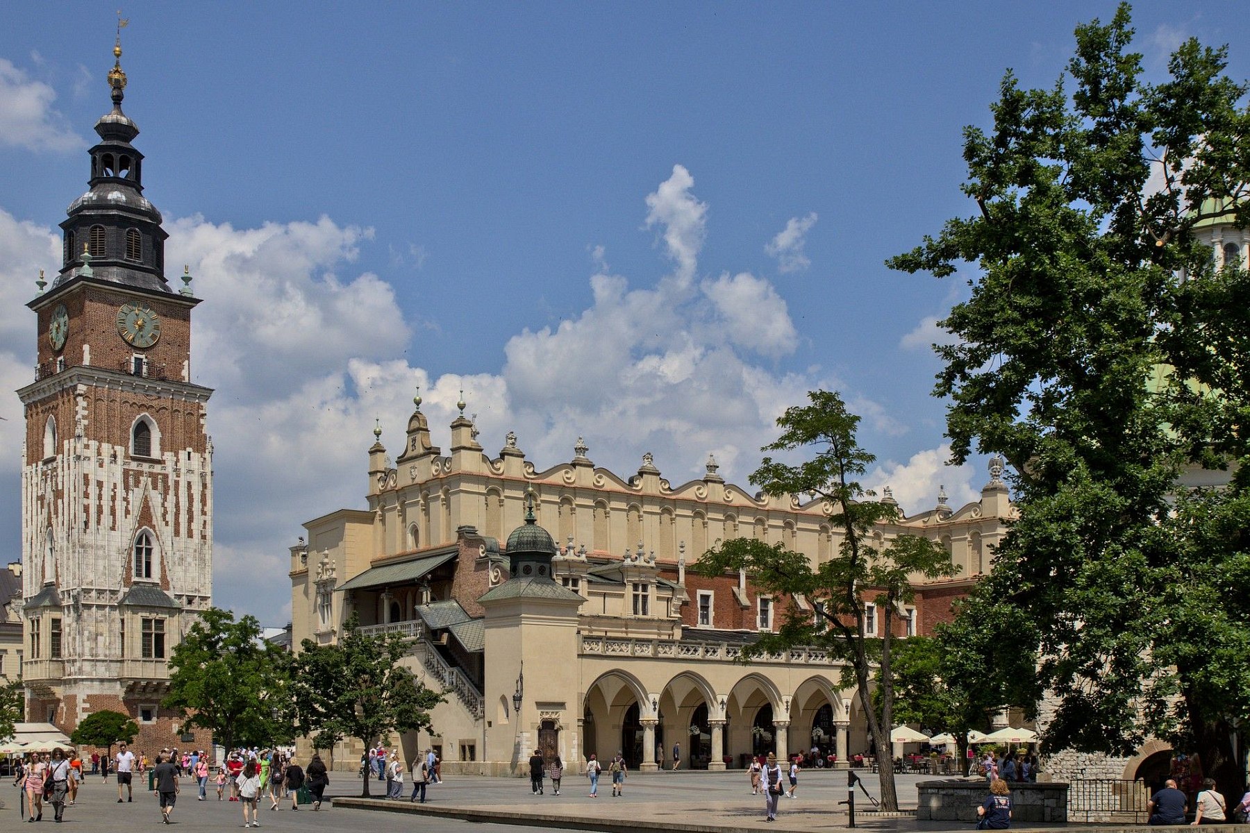IMG-5828