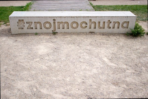 IMG-8020
