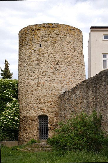 IMG-8045