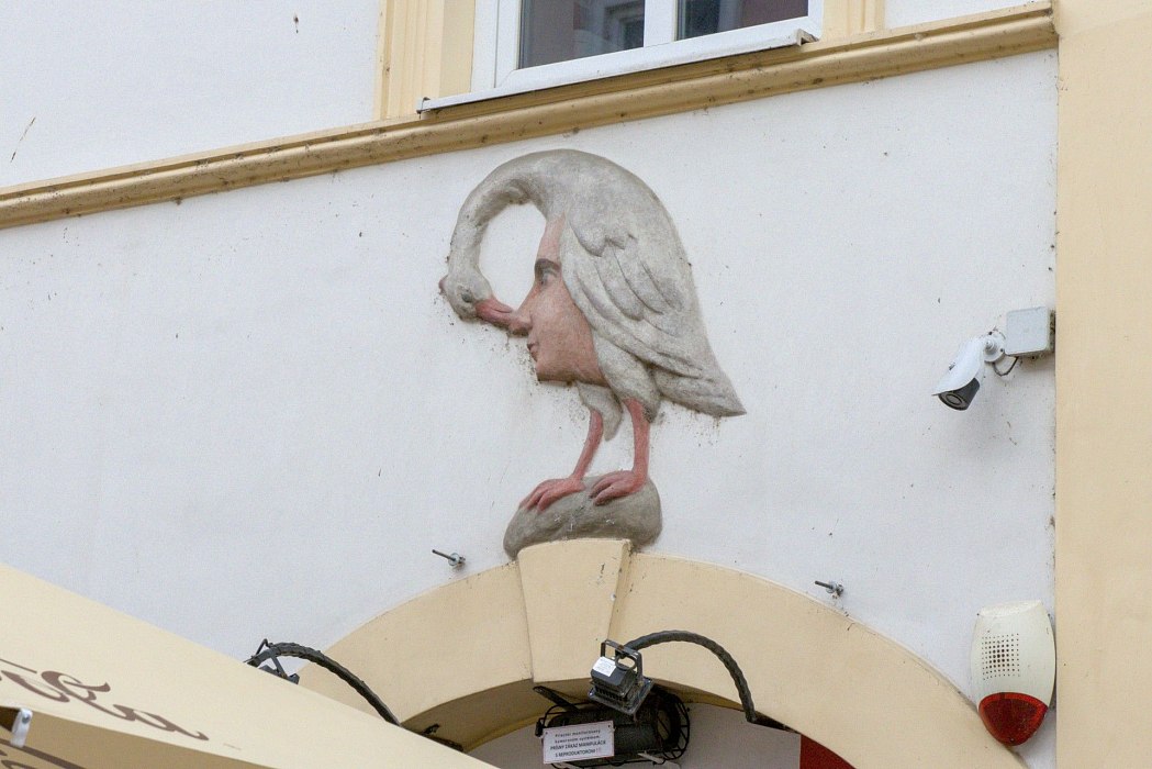 IMG-4770