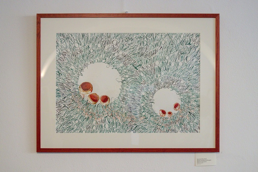 IMG-0650