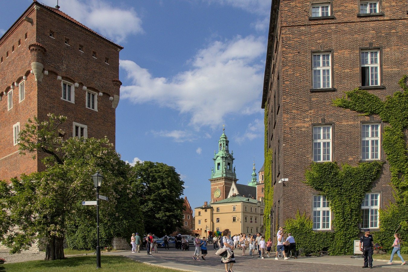 IMG-5630