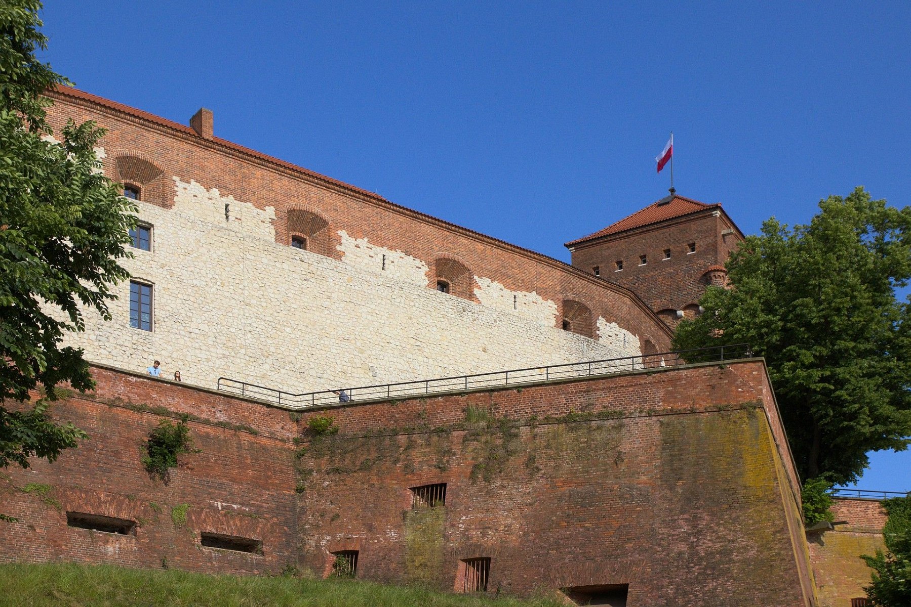 IMG-5686