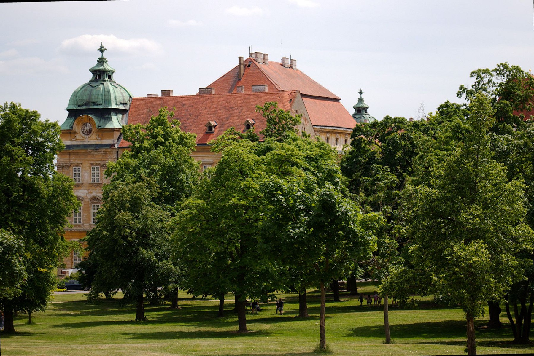 IMG-7935