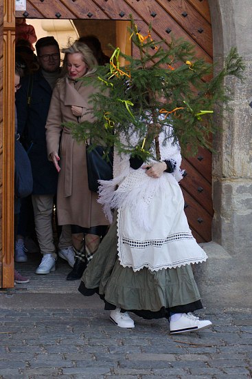 IMG-6865