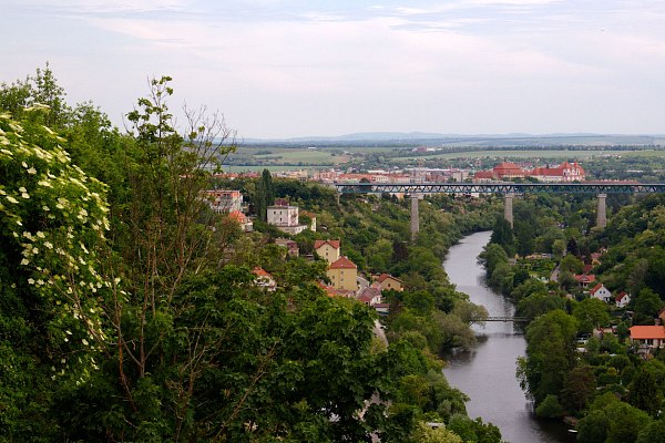 IMG-8008