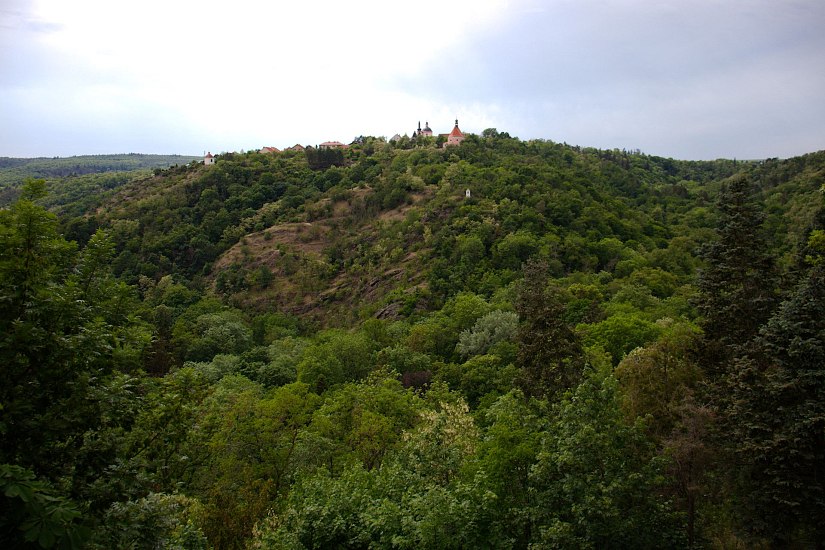 IMG-8028
