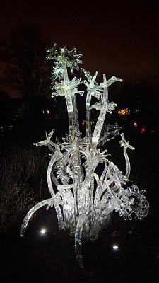20260206-195055