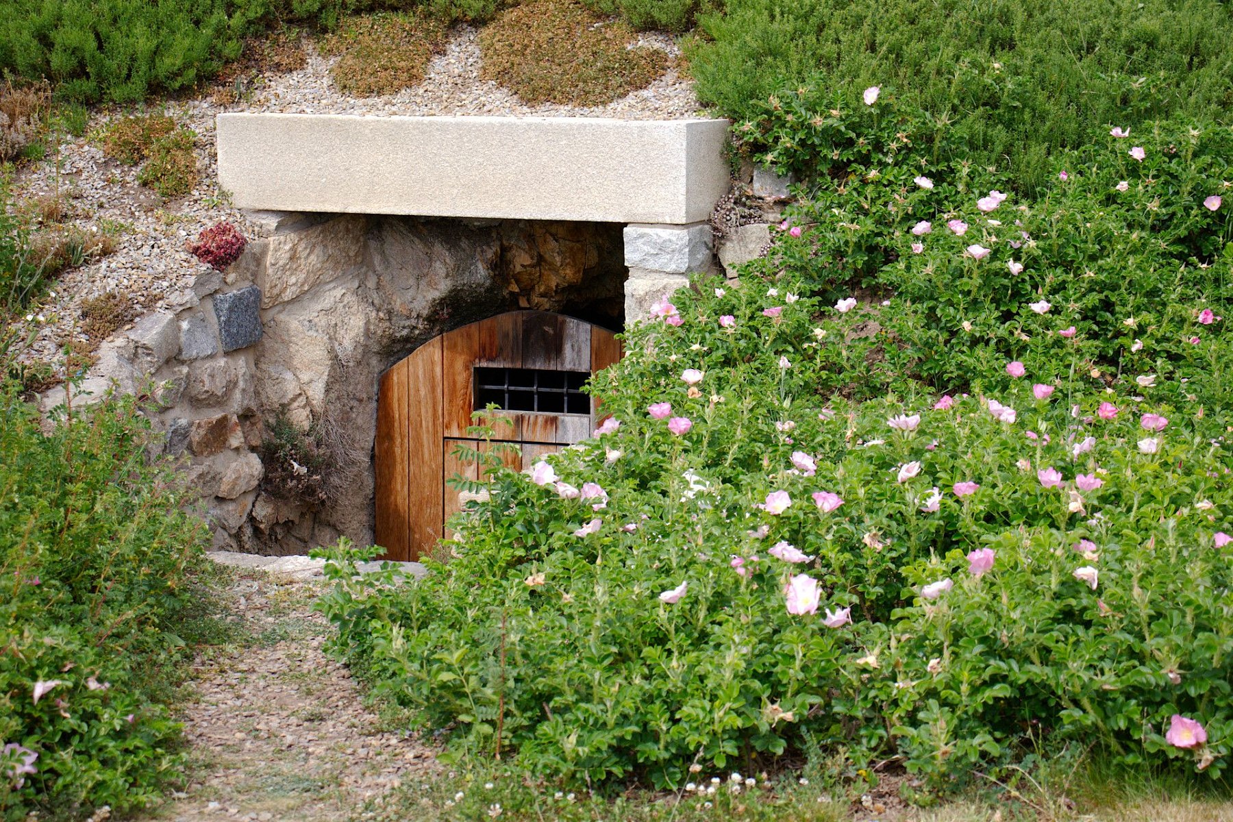 IMG-8019