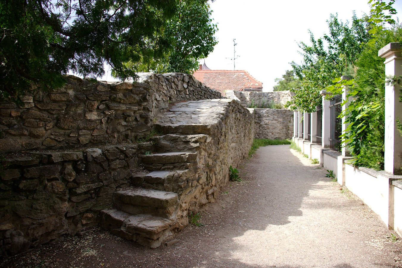 IMG-8043