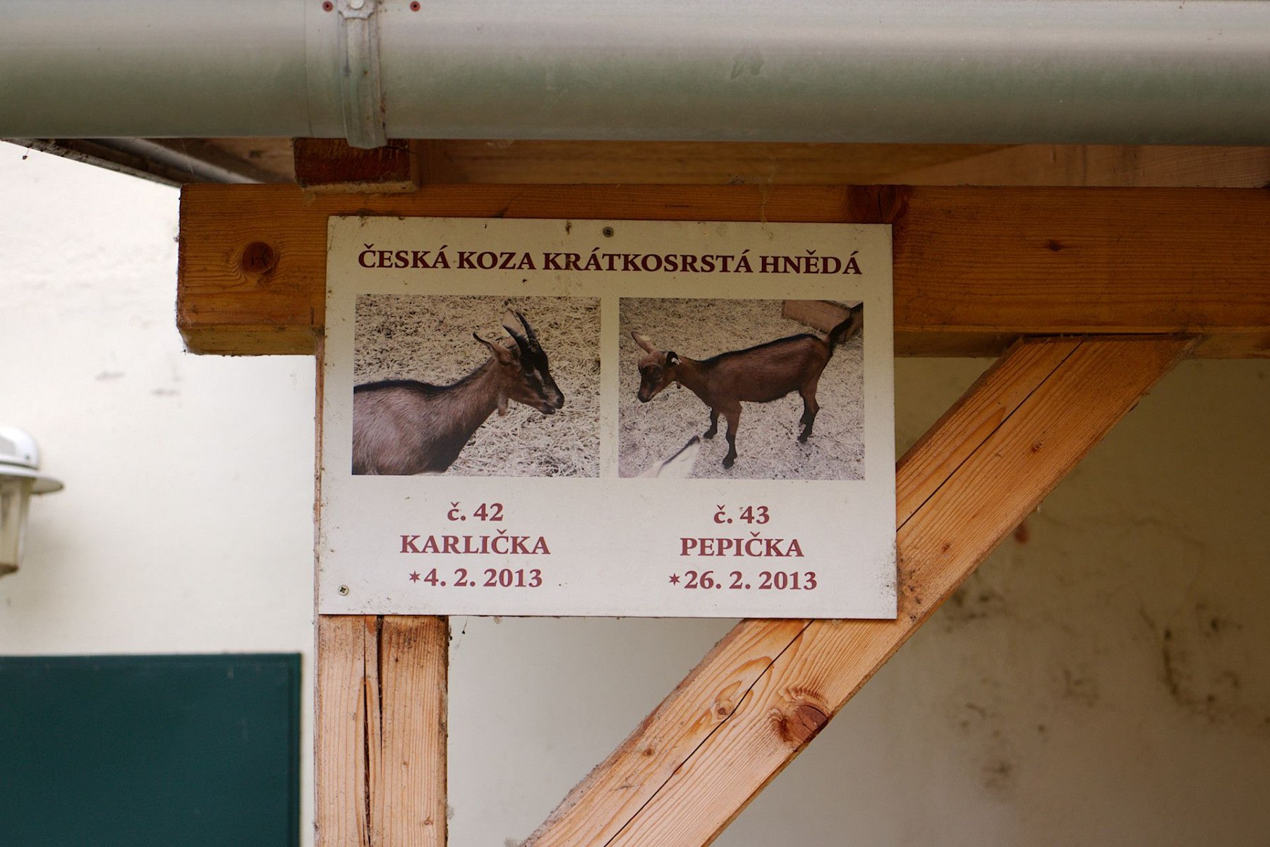 IMG-7953