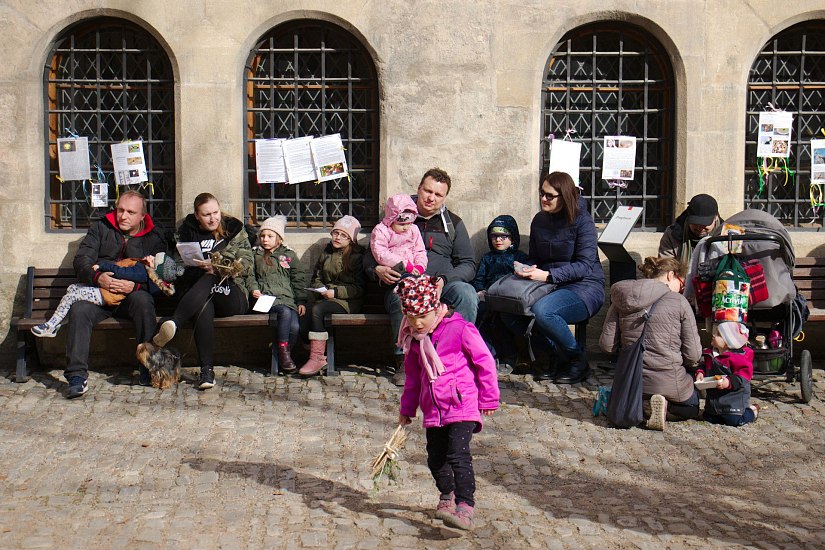 IMG-6800