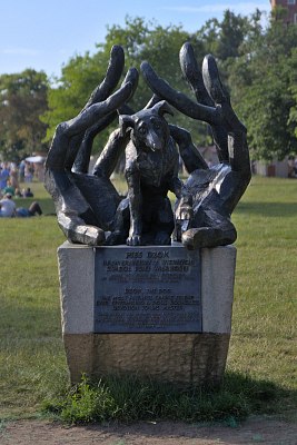 IMG-5695