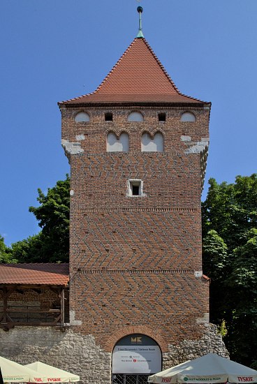 IMG-5751
